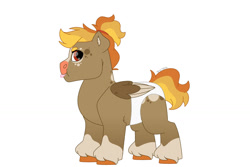 Size: 1280x854 | Tagged: safe, artist:itstechtock, derpibooru import, oc, oc only, oc:nutmeg apple, pegasus, pony, baby, baby pony, diaper, magical lesbian spawn, offspring, parent:applejack, parent:rainbow dash, parents:appledash, simple background, solo, unshorn fetlocks, white background