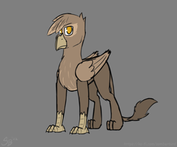 Size: 2400x2000 | Tagged: safe, artist:somber, derpibooru import, oc, oc only, griffon, griffon oc, male, sketch, solo