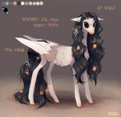 Size: 1920x1854 | Tagged: safe, artist:pessadie, derpibooru import, oc, oc only, pegasus, pony, pegasus oc, reference sheet, wings