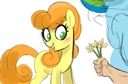 Size: 1823x1198 | Tagged: safe, artist:_ton618_, derpibooru import, carrot top, golden harvest, rainbow dash, earth pony, human, pegasus, pony, blushing, cute, female, flower, hand, mare, offscreen character, offscreen human, open mouth, simple background, white background