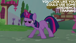 Size: 1280x720 | Tagged: safe, derpibooru import, edit, edited screencap, editor:quoterific, screencap, twilight sparkle, unicorn twilight, pony, unicorn, it's about time, season 2, female, magic, mare, smiling, solo, telekinesis, text