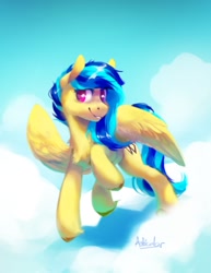 Size: 1111x1440 | Tagged: safe, artist:anticular, derpibooru import, oc, oc only, oc:koa, pegasus, pony, cloud, cute, female, mare, raised hoof, raised leg, signature, sky, solo, spread wings, unshorn fetlocks, wings