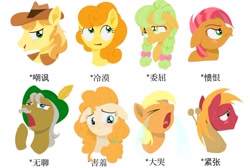 Size: 1664x1117 | Tagged: safe, artist:luansh, derpibooru import, apple cobbler, apple strudel, babs seed, big macintosh, braeburn, carrot top, golden delicious, golden harvest, pear butter, earth pony, pony, apple family, apple family member, chinese, ears, female, filly, floppy ears, foal, male, mare, simple background, stallion, white background