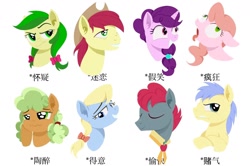 Size: 1664x1108 | Tagged: safe, artist:luansh, derpibooru import, apple brown betty, apple cider (character), apple fritter, apple split, bright mac, gala appleby, red delicious, sugar belle, earth pony, pony, unicorn, apple family member, chinese, female, male, mare, simple background, stallion, white background