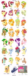 Size: 1664x4523 | Tagged: safe, artist:luansh, derpibooru import, apple bloom, apple brown betty, apple bumpkin, apple cider (character), apple cobbler, apple fritter, apple leaves, apple rose, apple split, apple strudel, applejack, aunt orange, auntie applesauce, babs seed, big macintosh, braeburn, bright mac, candy apples, carrot top, emerald green, gala appleby, golden delicious, golden harvest, granny smith, green gem, mosely orange, pear butter, pink lady, pinkie pie, red delicious, sugar belle, uncle orange, oc, earth pony, pony, unicorn, apple dumpling, apple family, apple family member, chinese, female, filly, foal, male, mare, simple background, stallion, white background, young granny smith, younger
