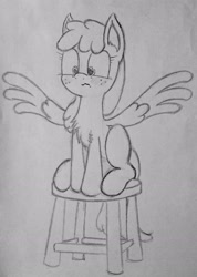 Size: 2215x3117 | Tagged: safe, artist:whiskey, derpibooru import, ponerpics import, oc, oc only, oc:artemis sparkshower, pegasus, pony, chest fluff, everyday life with guardsmares, female, guardsmare, mare, royal guard, simple background, solo, stool, traditional art