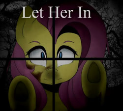 Size: 420x380 | Tagged: safe, derpibooru import, fluttershy, pegasus, pony, fanfic:let her in, female, mare, night, tree, window, youtube link
