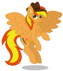 Size: 2650x3000 | Tagged: safe, artist:madlilon2051, derpibooru import, oc, pegasus, pony, base used, chest fluff, hat, male, pegasus oc, simple background, solo, stallion, transparent background, wings