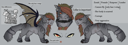 Size: 5656x2000 | Tagged: safe, artist:highrolleryt, derpibooru import, oc, oc only, cat, cat pony, original species, pony, bust, heterochromia, reference sheet, size chart, size comparison