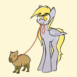 Size: 2500x2500 | Tagged: safe, artist:manicpanda, derpibooru import, derpy hooves, capybara, pegasus, pony, animal, eye clipping through hair, female, full body, leash, mare, mouth hold, no pupils, simple background, solo, yellow background