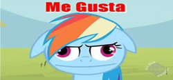 Size: 1350x629 | Tagged: safe, derpibooru import, edit, edited screencap, screencap, rainbow dash, pegasus, pony, the mysterious mare do well, derp, female, funny, hub logo, logo, mare, me gusta, meme, meme face, the hub