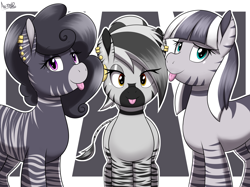 Size: 3348x2500 | Tagged: safe, artist:an-tonio, derpibooru import, oc, oc:florida, oc:trinidad, oc:zula, zebra, :p, looking at you, striped-teasers, tongue, tongue out, trio, zebra oc