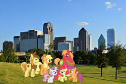 Size: 1920x1272 | Tagged: safe, artist:mlplover94, derpibooru import, apple bloom, applejack, big macintosh, braeburn, scootaloo, sweetie belle, earth pony, pony, bow, clothes, cowboy hat, cutie mark crusaders, dallas, female, filly, foal, hat, irl, male, mare, open mouth, photo, ponies in real life, smiling, stallion, texas, vest