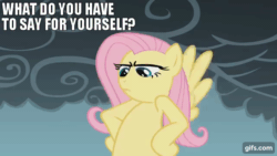 Size: 640x360 | Tagged: safe, derpibooru import, edit, edited screencap, editor:quoterific, screencap, fluttershy, pegasus, pony, dragonshy, season 1, animated, female, flying, gif, gifs.com, mare, open mouth, solo, spread wings, text, wings