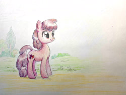 Size: 2048x1536 | Tagged: safe, artist:mandumustbasukanemen, derpibooru import, berry punch, berryshine, outdoors, pencil drawing, smiling, solo, traditional art