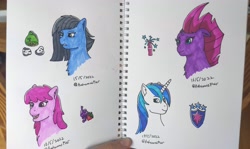 Size: 3781x2250 | Tagged: safe, artist:autumnsfur, artist:autumnsfurart, derpibooru import, berry punch, berryshine, fizzlepop berrytwist, limestone pie, shining armor, tempest shadow, earth pony, pony, unicorn, g4, blue eyes, blue fur, blue hair, bust, cutie mark, green eyes, grey hair, irl, long mane, notebook, paper, photo, pink eyes, pink fur, pink hair, portrait, purple fur, sharpie, simple background, sketch, traditional art