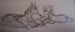 Size: 640x277 | Tagged: safe, artist:purple-blep, derpibooru import, oc, oc only, oc:keylime, oc:neem, bat pony, pegasus, pony, unicorn, sketch, traditional art