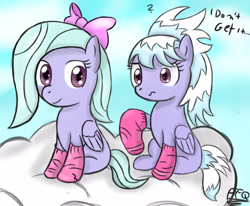 Size: 1250x1030 | Tagged: safe, artist:freefraq, derpibooru import, cloudchaser, flitter, pegasus, pony, clothes, cloud, confused, duo, female, socks