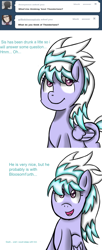 Size: 900x2200 | Tagged: safe, artist:freefraq, derpibooru import, cloudchaser, flitter, pony, ask-flitter, female, simple background, solo, white background