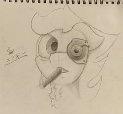 Size: 1952x1800 | Tagged: safe, artist:engi, derpibooru import, oc, oc only, oc:engi, pegasus, pony, cigar, looking at you, male, pencil drawing, photo, simple background, smoking, solo, traditional art