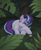 Size: 1472x1789 | Tagged: safe, artist:2k.bugbytes, starlight glimmer, pony, unicorn, bush, eyes closed, female, flower, flower in hair, forest, grass, jungle, lying down, mare, moss, outdoors, plant, prone, sleeping, solo, tree, vine