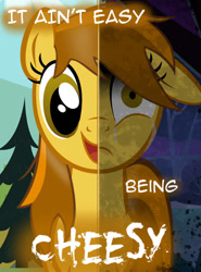 Size: 769x1039 | Tagged: safe, artist:yuitripfag, derpibooru import, oc, oc only, oc:swiss cheesy, earth pony, pony, crying, ears, female, floppy ears, frown, mare, scared, shrunken pupils, smiling, text, two sides
