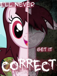 Size: 773x1034 | Tagged: safe, artist:yuitripfag, derpibooru import, oc, oc only, oc:maya, pony, unicorn, ears, female, floppy ears, horn, mare, scared, smiling, text, two sided posters, two sides