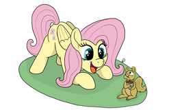 Size: 2530x1651 | Tagged: safe, artist:pony-thunder, derpibooru import, fluttershy, squirrel, :d, acorn, folded wings, open mouth, open smile, simple background, smiling, solo, white background, wings