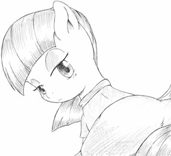 Size: 840x766 | Tagged: safe, artist:auntie_grub, derpibooru import, maud pie, earth pony, pony, female, looking at you, looking back, looking back at you, mare, simple background, solo, white background