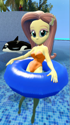 Size: 900x1600 | Tagged: safe, artist:oatmeal!, derpibooru import, fluttershy, human, orca, whale, equestria girls, 3d, breasts, clothes, floaty, gmod, inner tube, looking at you, one-piece swimsuit, sexy, solo, swimming, swimming pool, swimsuit