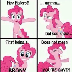 Size: 748x745 | Tagged: safe, derpibooru import, pinkie pie, earth pony, pony, artifact, brony, comic, female, hater, needs more jpeg, solo