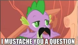 Size: 473x273 | Tagged: safe, derpibooru import, edit, edited screencap, screencap, spike, dragon, boast busters, season 1, artifact, caption, facial hair, golden oaks library, image macro, impact font, male, meme, moustache, pun, text