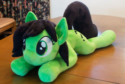 Size: 1280x854 | Tagged: safe, artist:azgchip, derpibooru import, oc, oc only, oc:anon, pony, female, mare, photo, plushie, solo