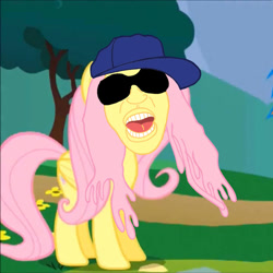 Size: 500x500 | Tagged: safe, derpibooru import, edit, edited screencap, screencap, fluttershy, pegasus, pony, sonic rainboom (episode), female, hat, meme, solo, sunglasses, tree