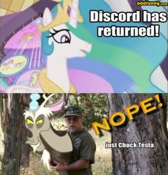 Size: 500x520 | Tagged: safe, derpibooru import, edit, edited screencap, screencap, discord, princess celestia, alicorn, draconequus, human, pony, the return of harmony, chuck testa, impact font, irl, irl human, meme, needs more jpeg, photo, watermark