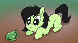 Size: 1940x1080 | Tagged: safe, artist:happy harvey, derpibooru import, oc, oc only, oc:anon filly, earth pony, frog, pony, blank flank, cute, drawn on phone, ear fluff, ears, female, filly, foal, gradient background, looking at each other, looking at someone, looking down