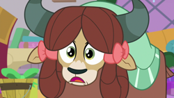 Size: 1280x720 | Tagged: safe, derpibooru import, screencap, yona, yak, season 8, the hearth's warming club, spoiler:s08, bowtie, looking at you, monkey swings, open mouth, reaction image, shocked, solo