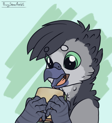 Size: 2900x3200 | Tagged: safe, artist:buy_some_apples, derpibooru import, oc, griffon, food, griffon oc, sandwich