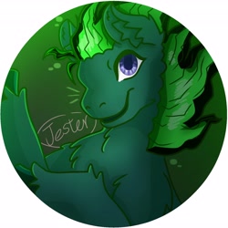 Size: 4096x4096 | Tagged: safe, artist:technology_shy, derpibooru import, oc, oc only, oc:mosskin, earth pony, pony, black mane, blue eyes, bust, chest fluff, ear fluff, ears, face, photo, solo