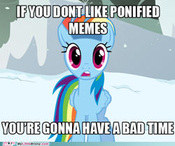 Size: 500x417 | Tagged: safe, derpibooru import, rainbow dash, pegasus, pony, artifact, caption, female, headband, image macro, impact font, meme, my little brony, ponified, ponified meme, snow, solo, south park, text, watermark, you're gonna have a bad time