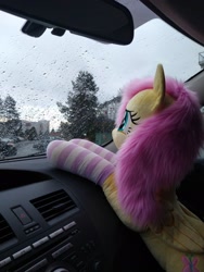 Size: 1536x2048 | Tagged: safe, artist:plushbylumi, derpibooru import, fluttershy, car, car interior, clothes, irl, photo, plushie, rain, socks, solo