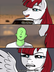 Size: 1080x1442 | Tagged: safe, artist:crade, oc, oc only, oc:anon, oc:fausticorn, alicorn, human, pony, breaking bad, colored, dialogue, mommy, paintover, pop culture, shitposting
