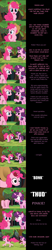 Size: 2000x9673 | Tagged: safe, artist:mlp-silver-quill, derpibooru import, pinkie pie, sugar belle, earth pony, comic:pinkie pie says goodnight, apple, apple bloom's bow, apple tree, applejack's hat, bonk, bow, bucking, clothes, cowboy hat, food, hair bow, hat, implied apple bloom, implied applejack, implied cutie mark crusaders, implied scootaloo, implied sweetie belle, personality swap, running, sweet apple acres, tree