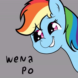 Size: 5906x5906 | Tagged: safe, artist:reinbou, derpibooru import, rainbow dash, pegasus, pony, female, gray background, simple background, smiling, solo, spanish text