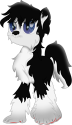 Size: 5132x8910 | Tagged: safe, artist:lincolnbrewsterfan, derpibooru import, dog, dog pony, hengstwolf, hybrid, original species, pony, werewolf, my little pony: the movie, .svg available, alternate universe, black and white, black and white tail, black mane, blake connors, blue eyes, bushy tail, chest fluff, chin fluff, claws, death stare, dog nose, ear fluff, ears, fanart, fur, glare, grayscale, highlights, husky, leg fluff, male, monochrome, movie accurate, muzzle, neck fluff, paw pads, paw prints, pawkinesis, paws, ponified, race swap, red, serious, serious face, shading, simple background, slit eyes, species swap, stallion, stallion oc, svg, tail, transparent background, two toned tail, underpaw, vector, webkinz, whiskers, youtube