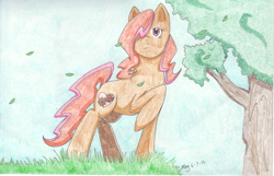 Size: 2550x1645 | Tagged: safe, artist:itsjustmeg, derpibooru import, oc, oc only, oc:copper charm, earth pony, pony, amputee, colored pencil drawing, female, mare, prosthetic leg, prosthetic limb, prosthetics, solo, traditional art