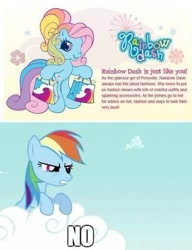 Size: 398x519 | Tagged: safe, derpibooru import, rainbow dash, rainbow dash (g3), earth pony, pegasus, pony, g3, g4, bag, cloud, female, generational ponidox, impact font, meme, needs more jpeg, no, rainbow dash always dresses in style, shopping bag