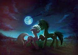 Size: 1390x982 | Tagged: safe, artist:skyeypony, derpibooru import, cheerilee, oc, earth pony, pony, canon x oc, detailed background, duo, female, holding hooves, looking into each others eyes, mare, moon, night, oc name needed