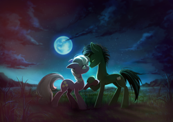 Size: 1390x982 | Tagged: oc name needed, safe, artist:skyeypony, derpibooru import, cheerilee, oc, earth pony, pony, canon x oc, detailed background, duo, female, holding hooves, looking into each others eyes, mare, moon, night