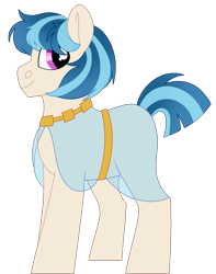 Size: 1249x1586 | Tagged: safe, artist:moonert, derpibooru import, oc, oc only, earth pony, pony, clothes, earth pony oc, male, simple background, solo, stallion, transparent background